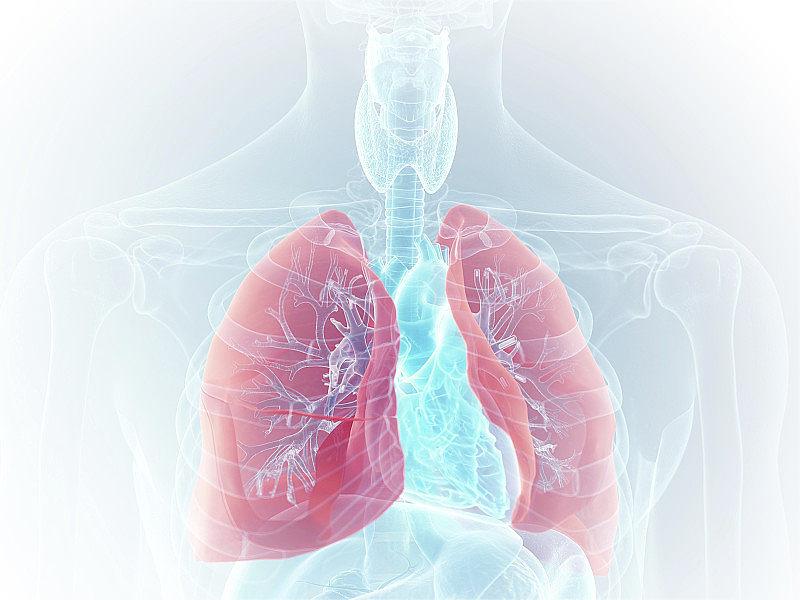 从传统到现代：可视喉镜在呼吸道疾病诊断中的重要作用