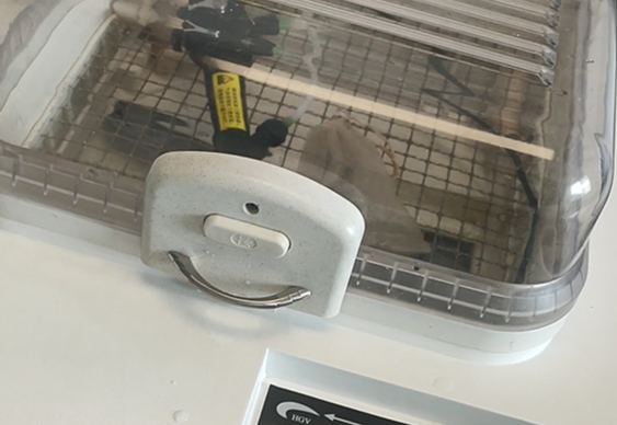 可视喉镜厂家：气管插管用可视喉镜该如何清洗消毒？